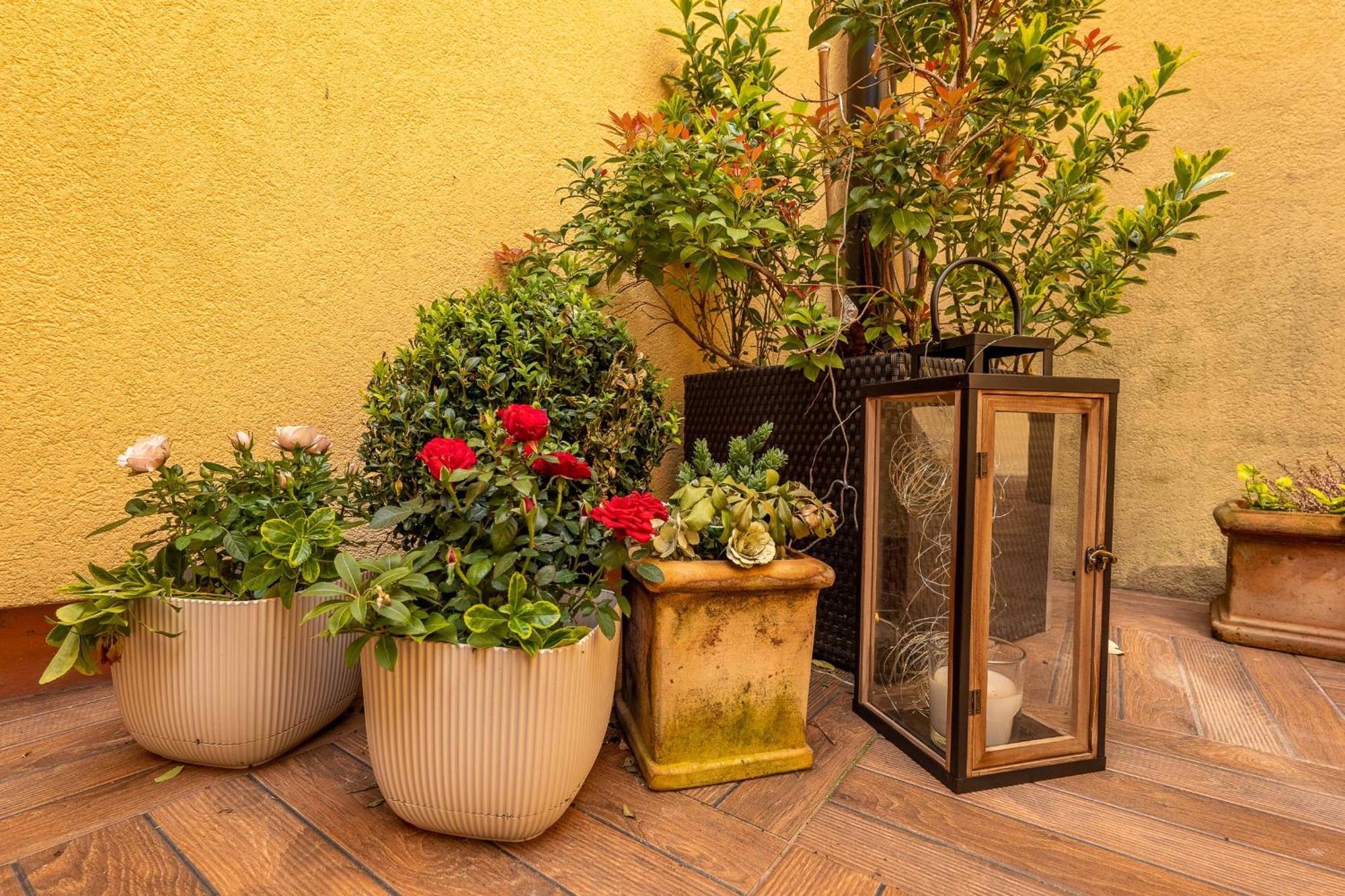 Apartment Dum U Lazni Federer Trebon